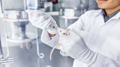 Why Is Animal Testing Still With Us?